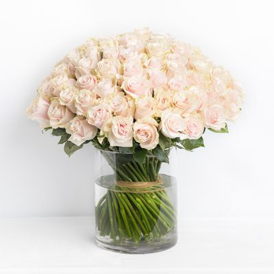 Blush 100 Roses - Chic Flowers